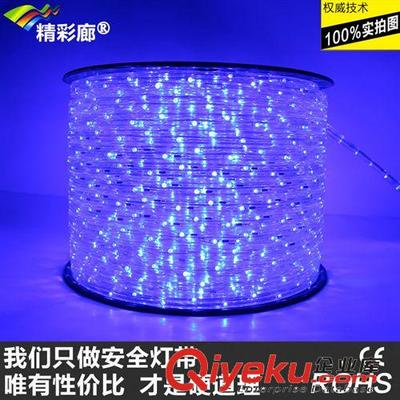 LED彩虹管扁三线 亮化工程的热销之选与厂家实力解析